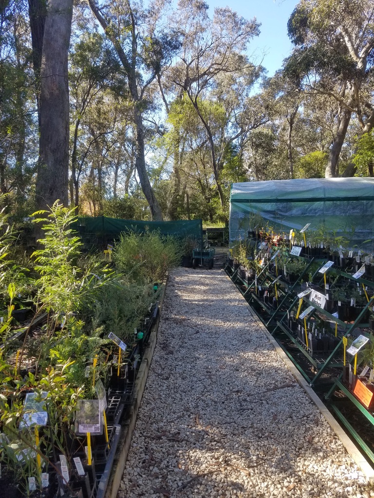 The nursery and greenhouse at Wildplant Rescue's Katoomba Native Plant Nursery