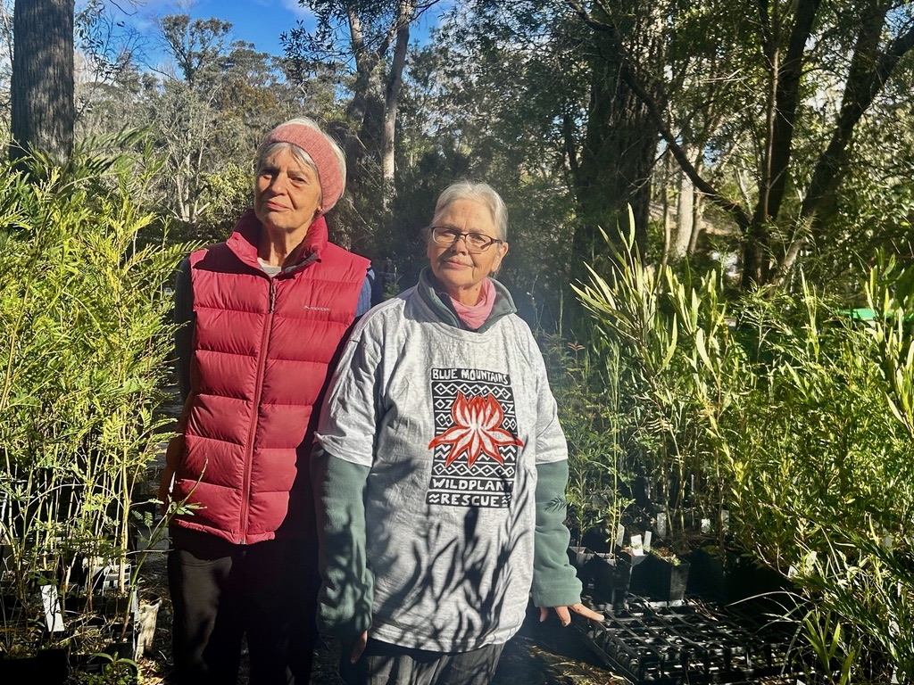 volunteers at Blue Mountains Wildplant Rescue