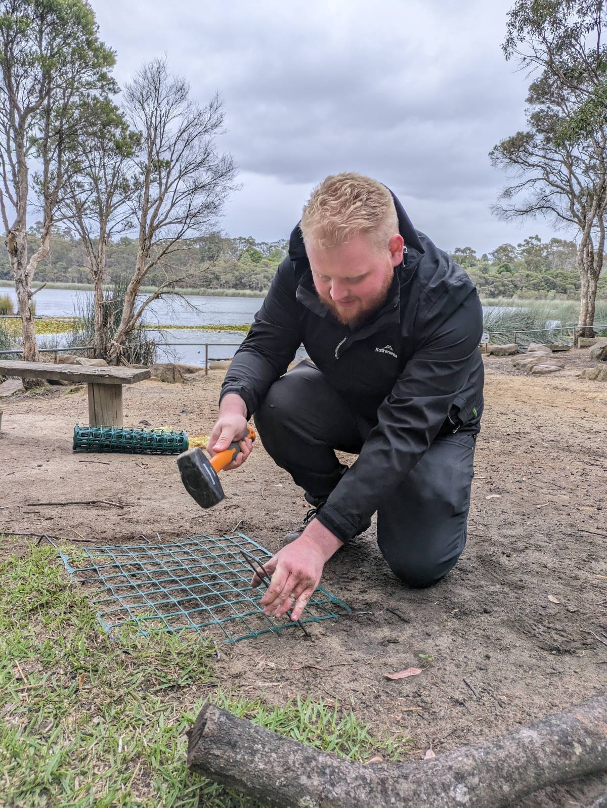 Will Goodwin protecting a turtle nest at Glenbrook Lagoon