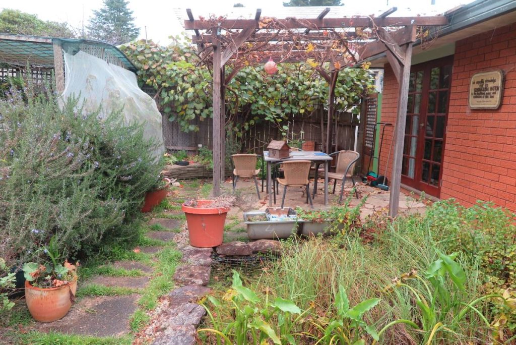 Small pond filled with aquatic plants for detoxifying and cleaning grey water 