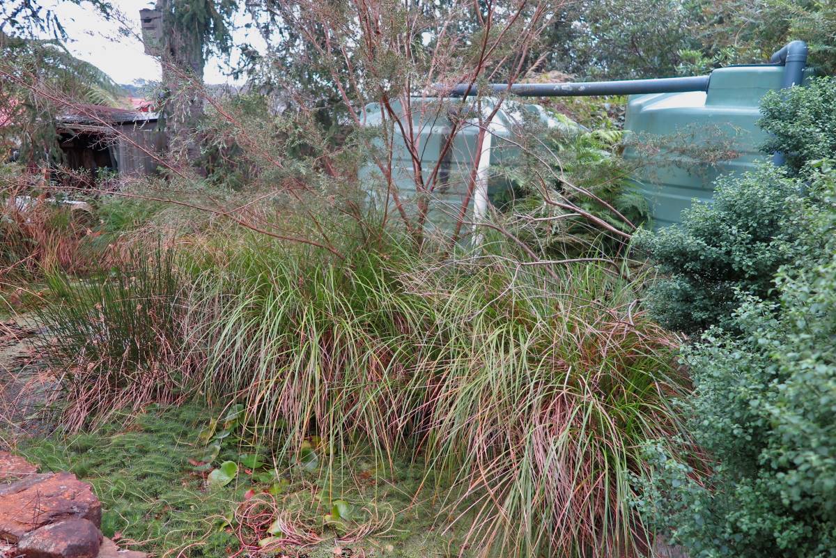 The two tanks along the fence-line at the highest point of the property and the backyard pond