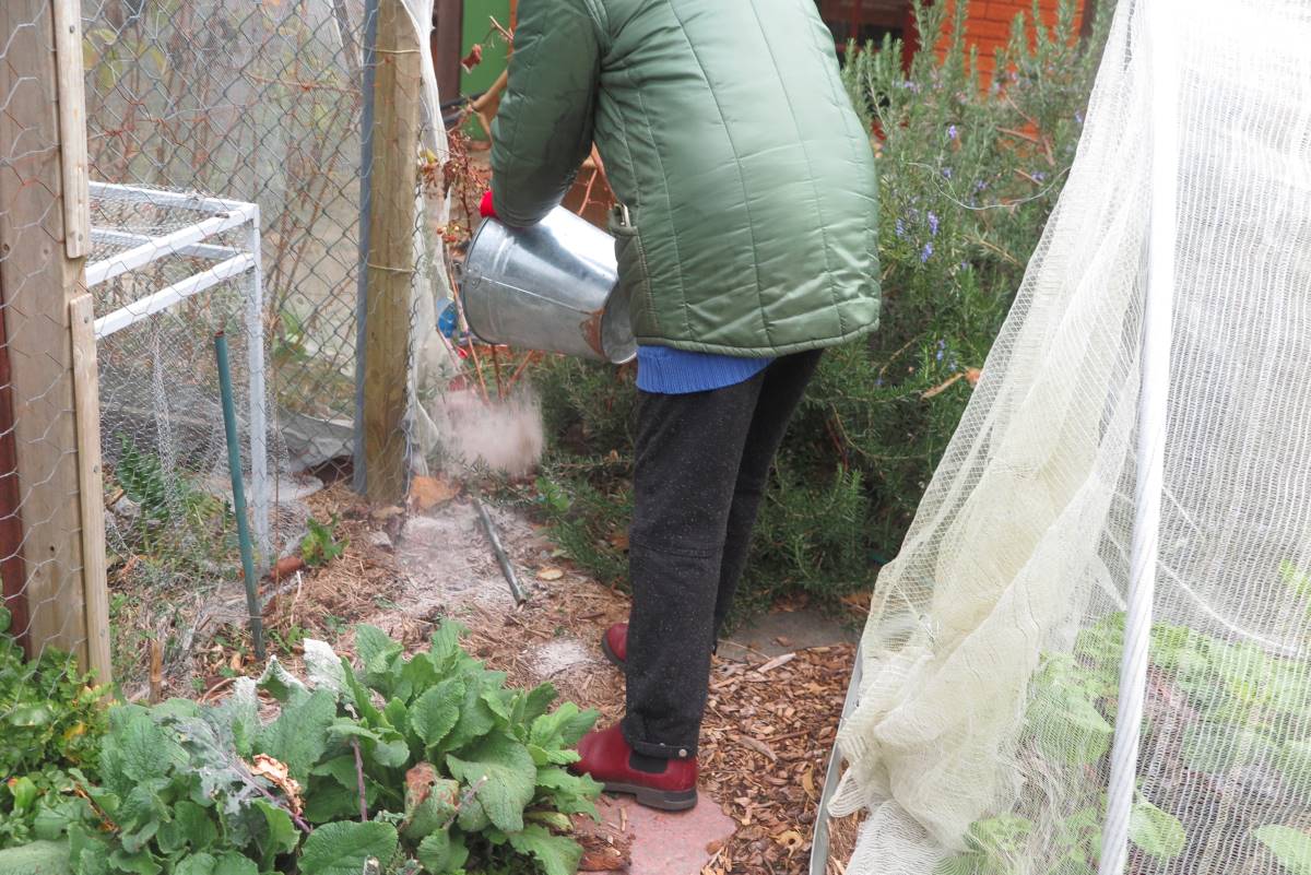 Rowe scattering wood ash on the garden.