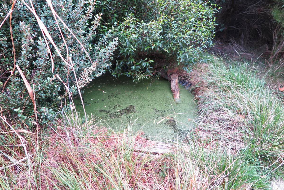 The front pond helps hold water in the land.