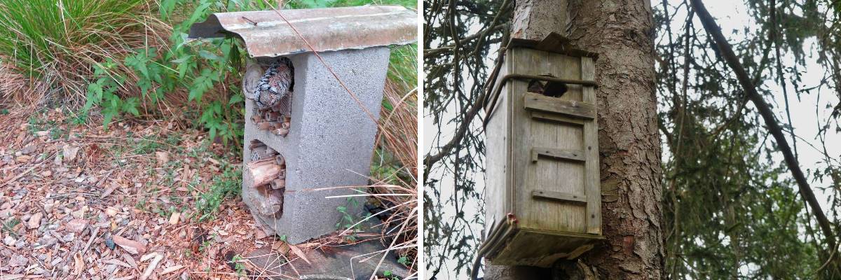 Habitats for possums, lizards and insects, improves diversity.