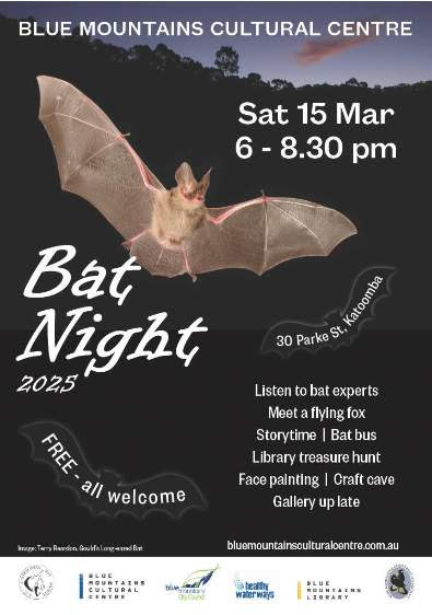 Bat night in katoomba, 2025